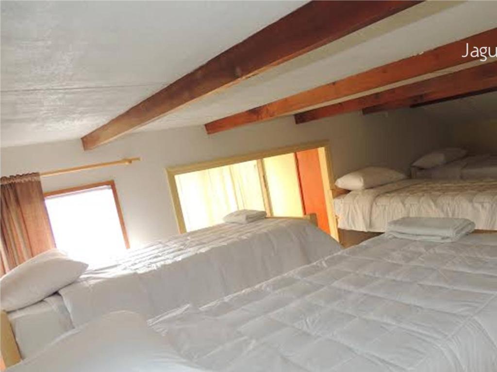 Hostel Jaguar Vina del Mar Ruang foto